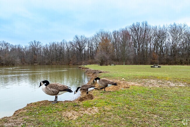 Big Walnut Park located in Shady Lane features a beautiful pond.