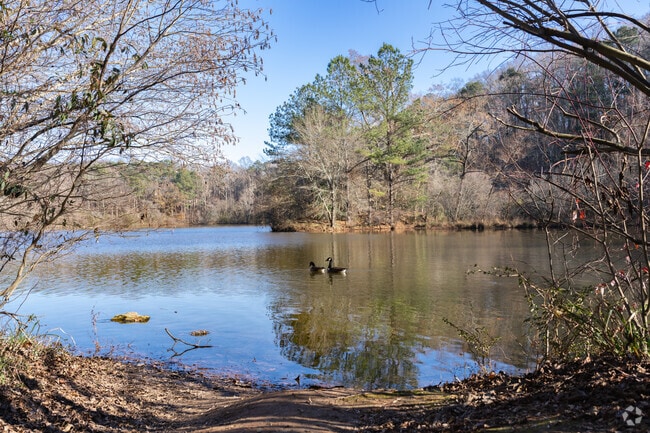 Lullwater Preserve offers a peaceful escape near Lindmoor Woods–Valley Brook Estates, perfect for nature walks and quiet moments.