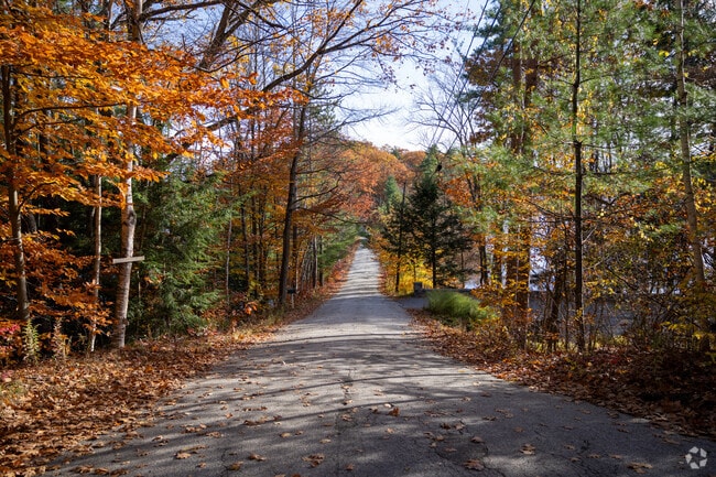 A peaceful wooded road in Rindge, lined with vibrant autumn foliage.