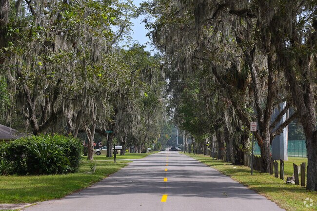 The trees of Highland Park are covered by Spanish moss.