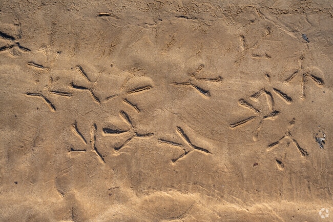 Explore Wilson Point Park and the different wildlife it has to offer in Middle River.