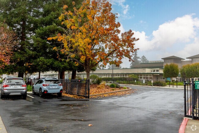 The Harker School Lower Division offers plenty of AP and Honors courses in San Jose.