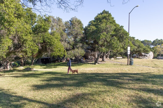 It's common to see people walking their dog in Great Stoneface Park in Thousand Oaks.