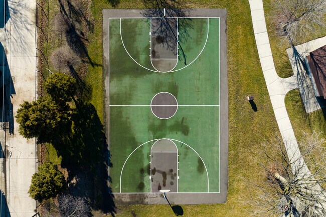 Play a game of pick-up in Haley  Park.