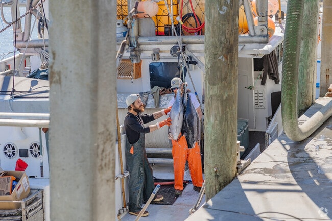 Cherry Point Seafood Co has fresh caught seafood on Wadmalaw Island.
