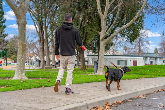 Man enjoys walk with dog through Twin Oaks Park in Stanford Ranch.