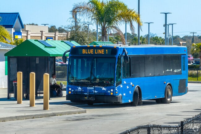 Public bus stops around the Webster Park area, are convenient for carless commutes.