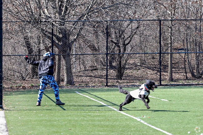 Bronx Park is a great place to play with our four legged friends in Fordham Heights.