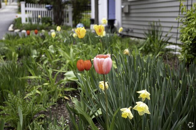 There are many well landscaped yards in Bath.