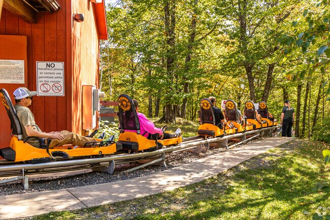 Take a ride on the Timber Twister Alpine Coaster at Spirit Mountain Adventure Park.