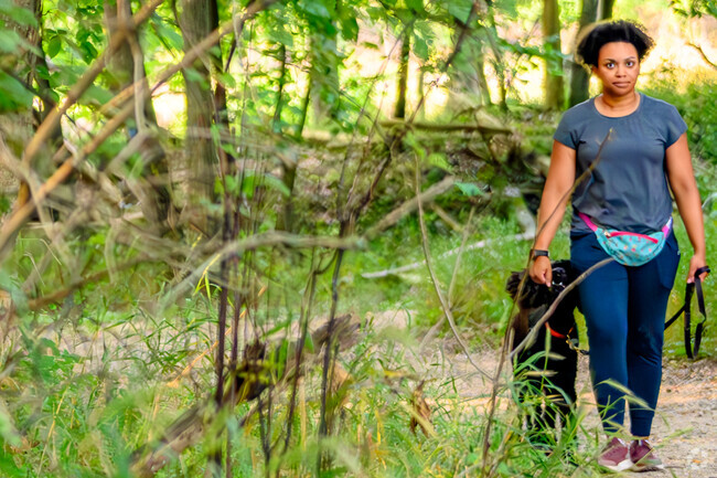 With 272 acres, Asylum Lake is a perfect place to take your dog for a walk near Arcadia.