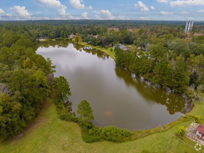 Beautiful lakes surround the beautiful homes of Killearn Lakes.