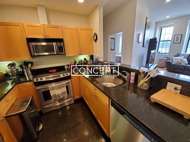490 Harrison Ave unit 203CP, Boston, MA 02118 - photo 4