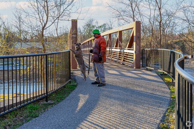 Herring Run Parks long curvy trails along the stream is the perfect place to walk your dogs.