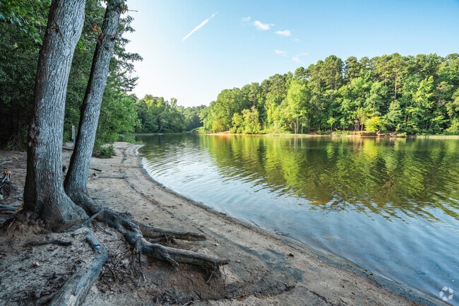 Wonderful shorelines are a great place to relax and enjoy the scenery around Mountain Island.