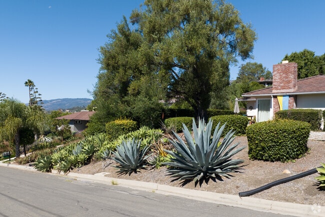 Desert landscaping flourishes in the yards of Foothill homes.