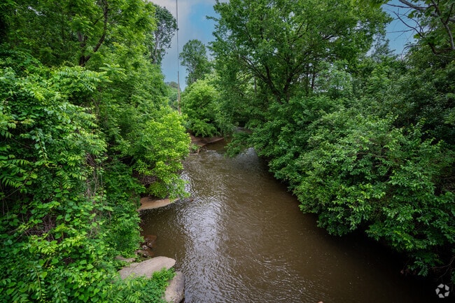 The winding Crabtree Creek flows through the trees in Crabtree.