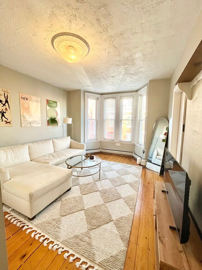 44 Delle Ave unit 2, Roxbury Crossing, MA 02120 - photo 2