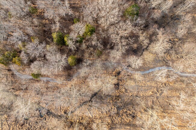 Marion has no shortage of trails in parks like Shawnee National Park.