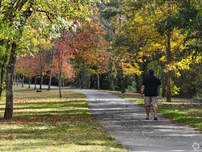 Hop over to Third Creek Greenway and take a stroll down meandering paths through the forest.