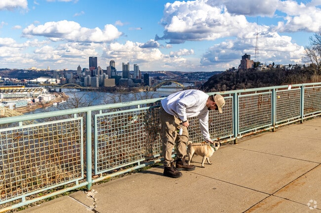 Bring your best friend to West End Overlook Park in Elliott to see the big city!