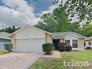 1317 Hatch Place, Valrico, FL 33594