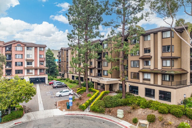 Redwood trees dot the established residential hills of Redwood Village.