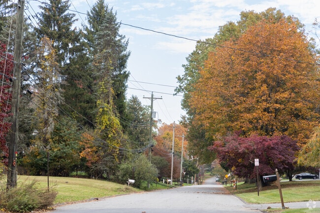 Quiet tree-lined streets run through Viola.