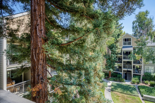 131 Saratoga Ave unit FL3-ID2105, Santa Clara, CA 95051 - photo 6