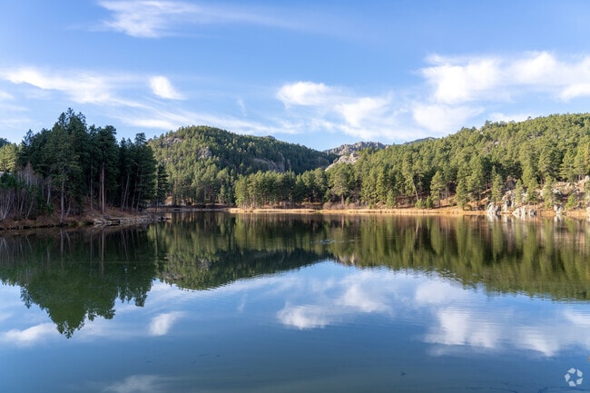 Beautiful sights and crystal lakes are a common sight here in Newcastle.