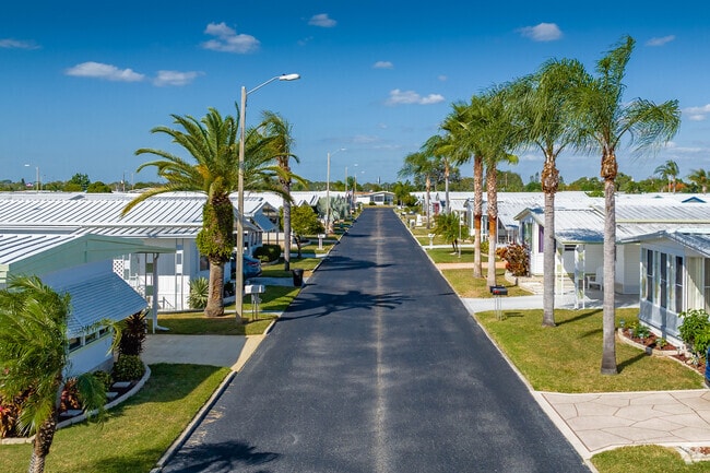 In Holiday, you can find exciting 55+ communities with beautiful palm trees.