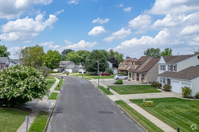 Gloucester Township neighorhoods have beautifully tree-lined streets along the side walks.