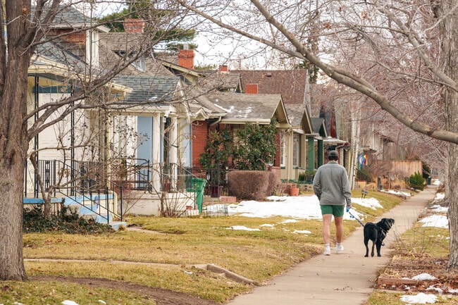 The cute sidewalks of Overland are a great place to walk your dog.