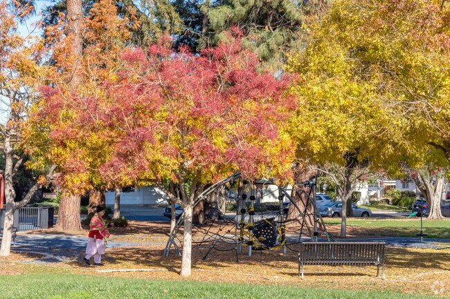 Enjoy a brisk morning walk at Marijane Hamann Park in San Jose.