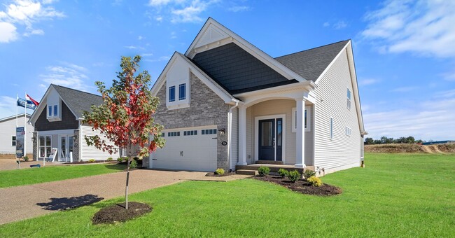 Harvest - Villa Collection