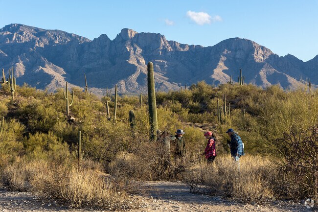 Honeybee Canyon Park offers trails, petroglyphs, and stunning views in Oro Valley.