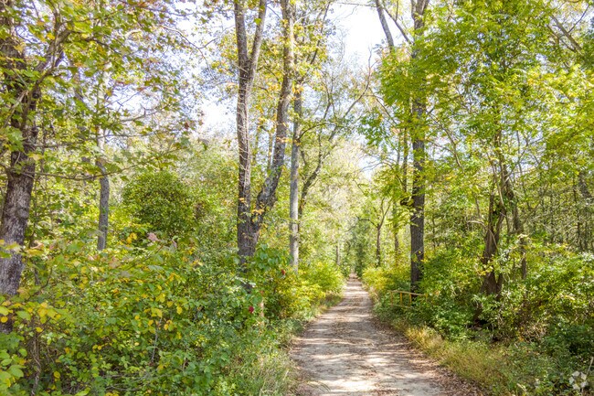 Residents explore the wooded trails in Glassboro Park, NJ.