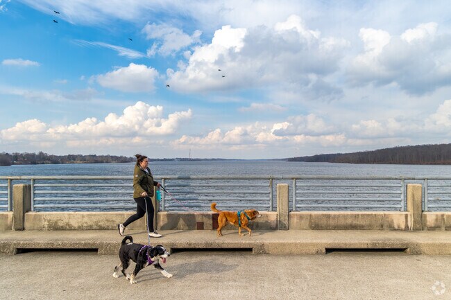 Sunbury Woods offers several different walking paths and trails that are pet friendly.