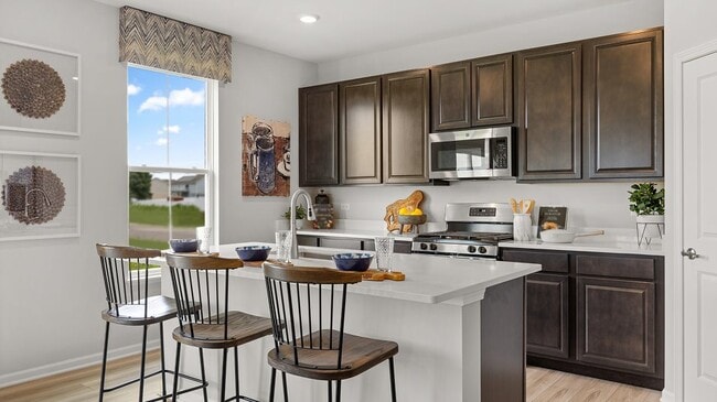 611 Lismore Cir, Elgin, IL 60124 - photo 2