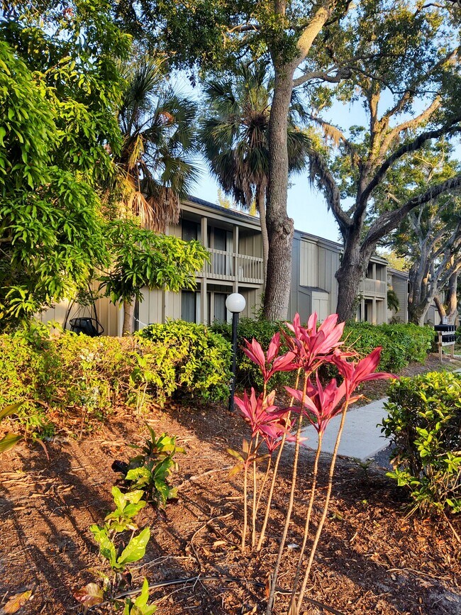 2200 Bahia Vista St Unit B3, Sarasota, FL 34239