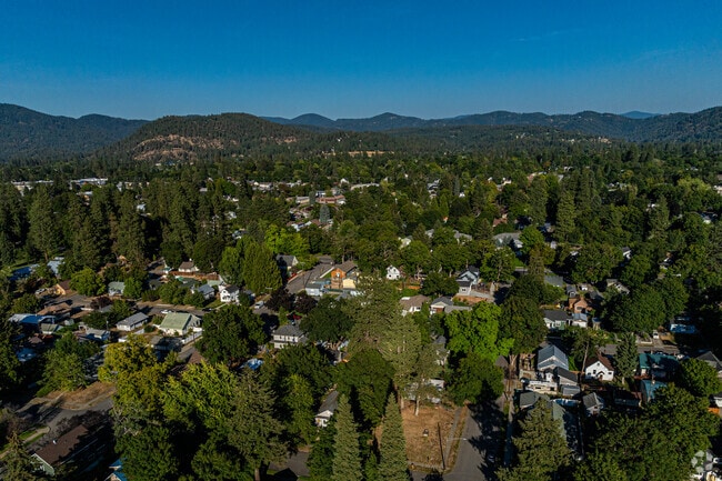Forest Heights lives up to its name with tall trees giving shade to the neighborhood.