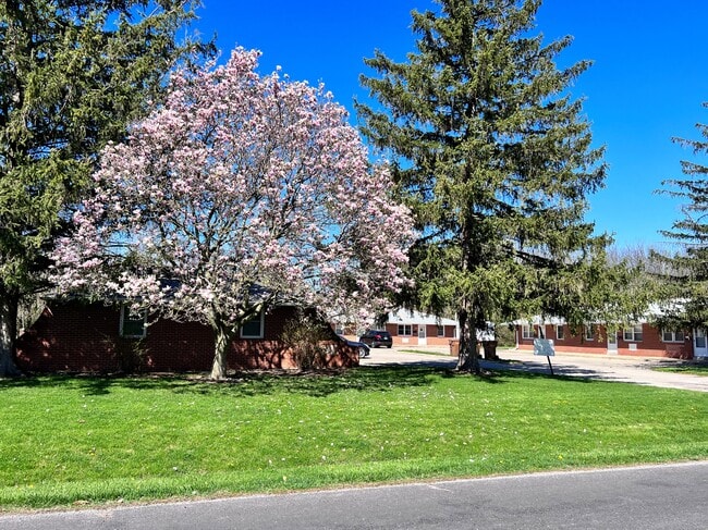 207 S Pfeffer Rd unit 207 1BR, Urbana, IL 61802 - photo 2