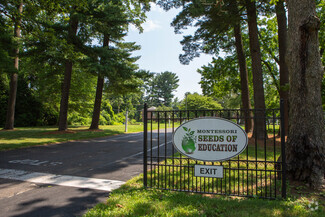 Montessori Seeds of Education