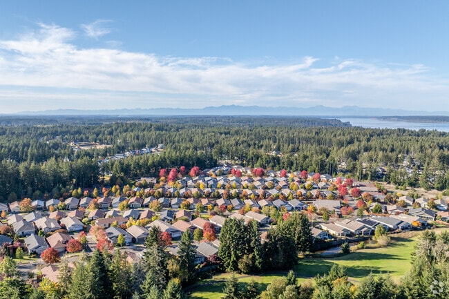 Aerial view of Jubilee: vibrant streets, lush parks, and a tapestry of community life below.