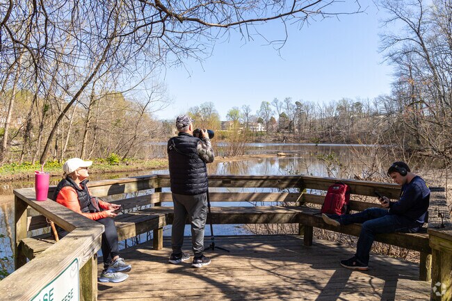 Immersed in nature's wonders at Hamilton Forest's Benjamin Park Bog Garden.