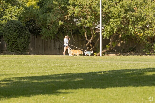 Therer is a bit of greenery in the community of Del Paso Vale