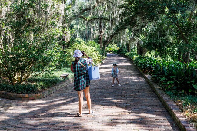 No one can resist snapping some pics in the ethereal  beauty of Maclay State Park.