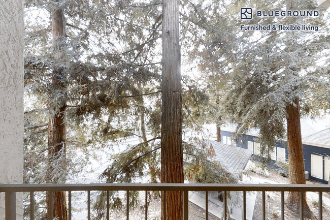 121 Roble Rd unit FL1-ID10847A, Walnut Creek, CA 94597 - photo 4