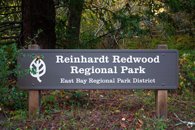 Redwood Regional Park in Oakland is over 1800 acres and is a gem with trails and more.