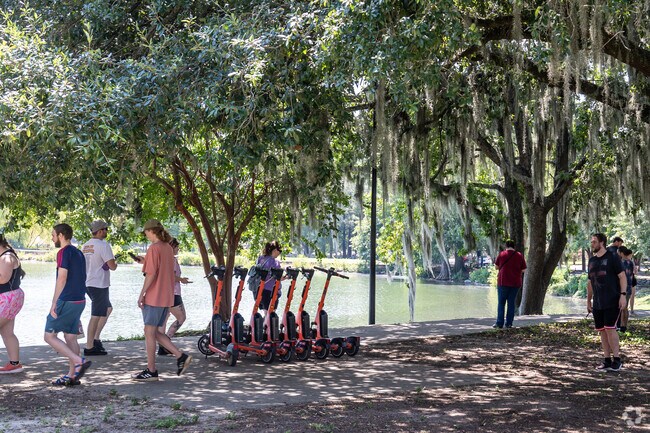 Spend a fun afternoon at Lake Ella Park.